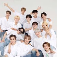 SEVENTEEN 換物交流群