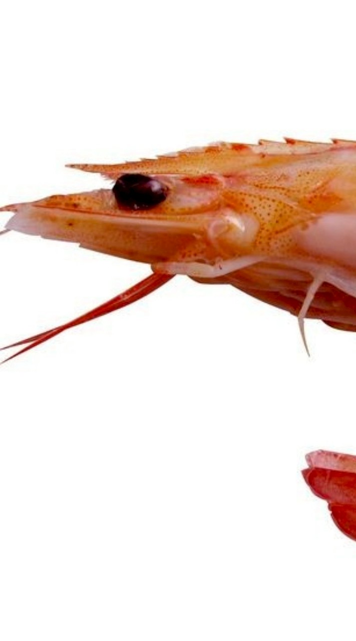 คุยเล่น หาเพื่อน ( เล่นเกม ) //