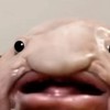 あいうえお