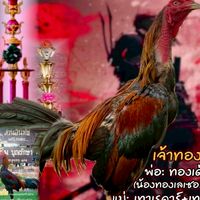 ซุ้ม ส.สกุลแสง ฟาร์ม (พิจิตร)
