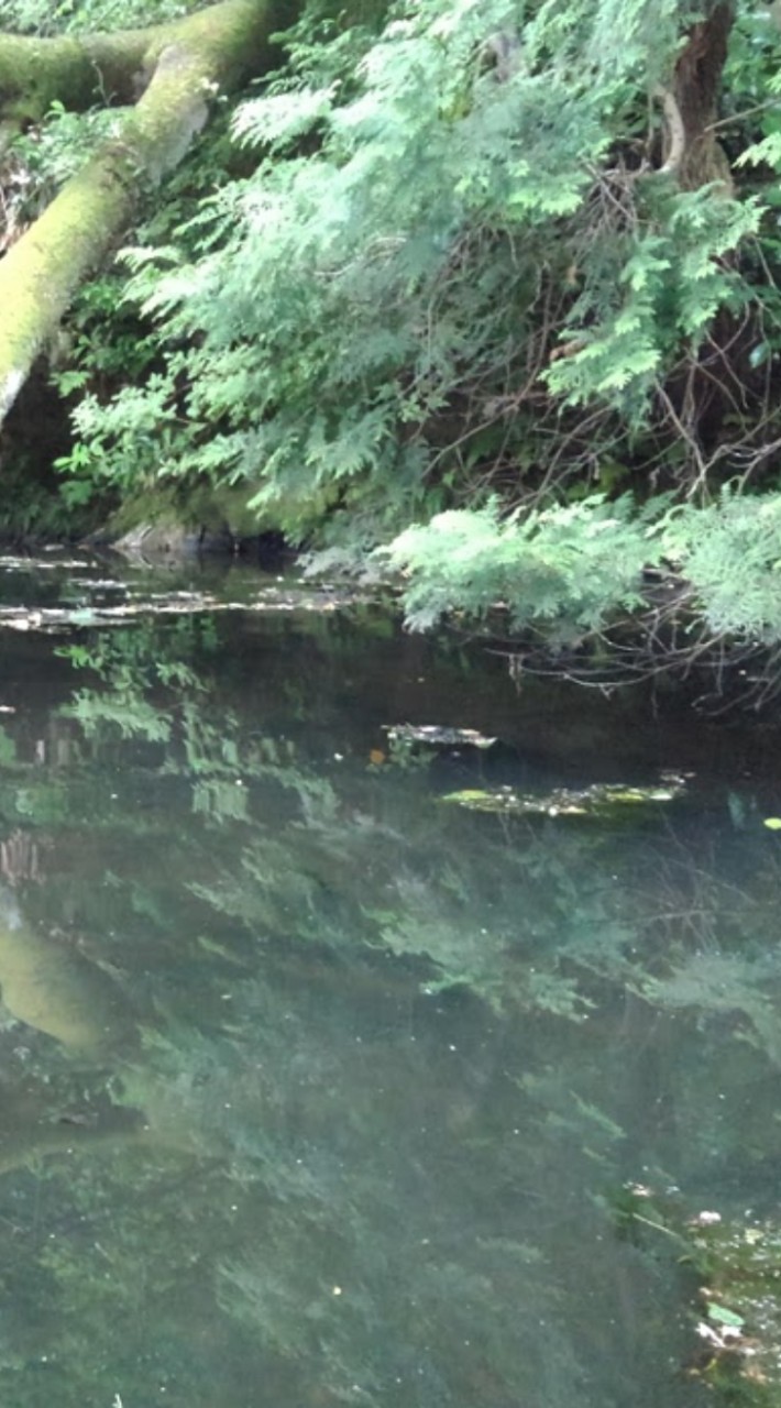 栃木県　魚釣り研究会