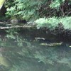 栃木県　魚釣り研究会