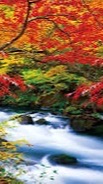 ✨青森県人会✨のオープンチャット