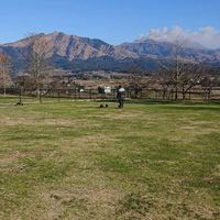 全国ダックス愛好会