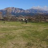 全国ダックス愛好会