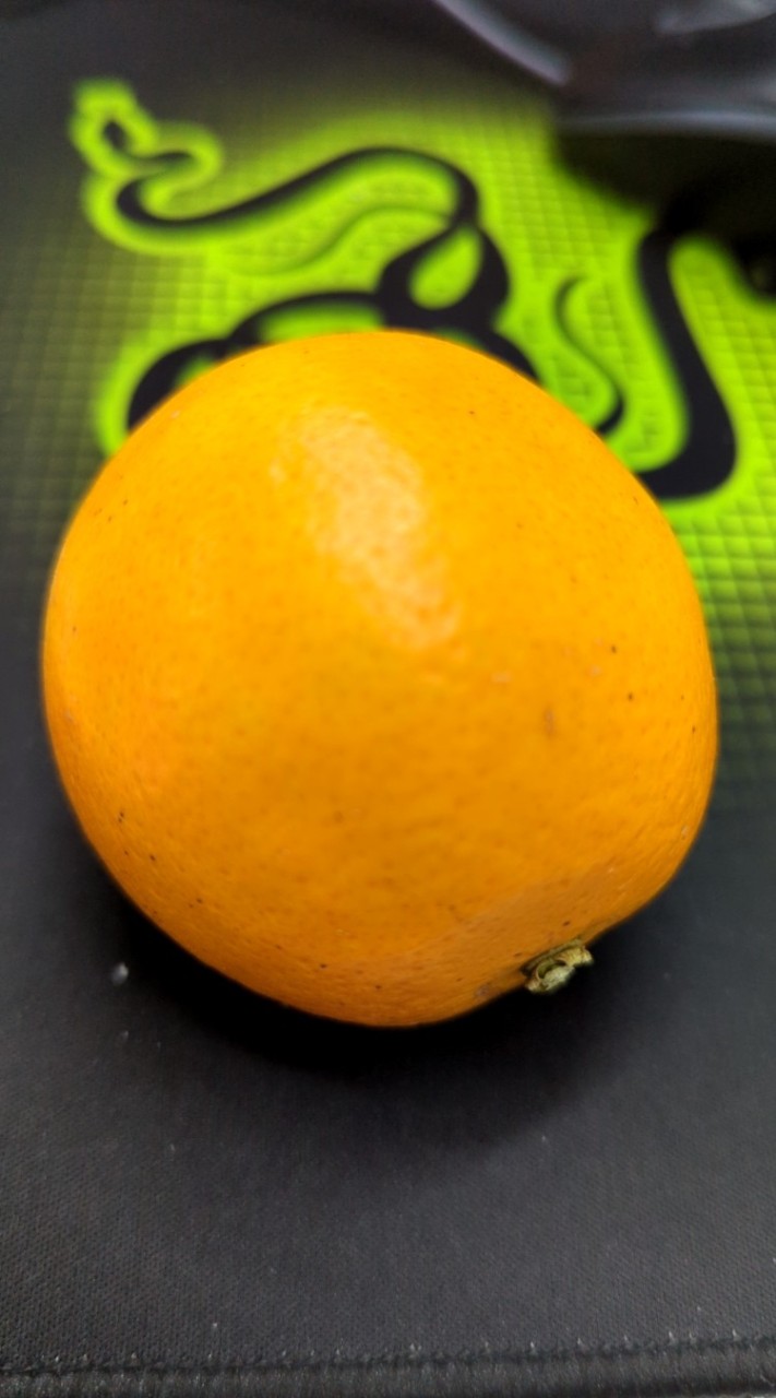 test444