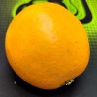 test444