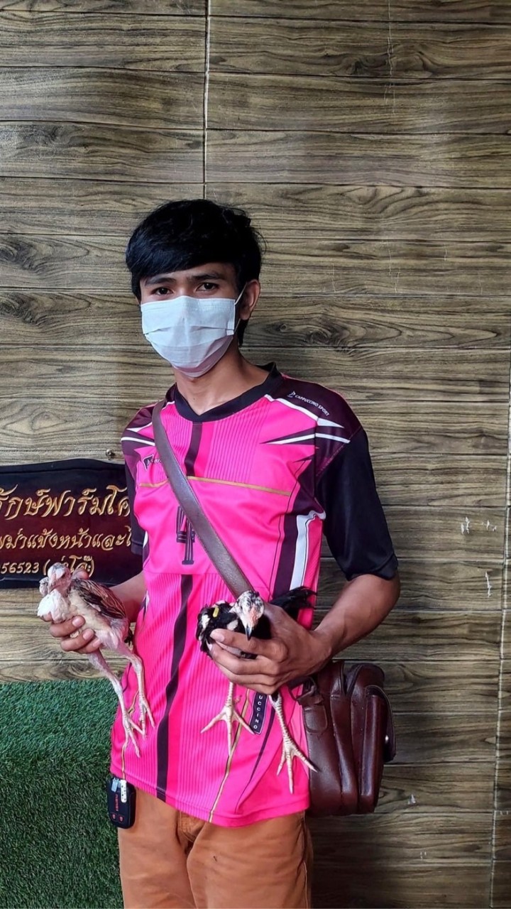 ต้นด่าน ฟาร์ม
