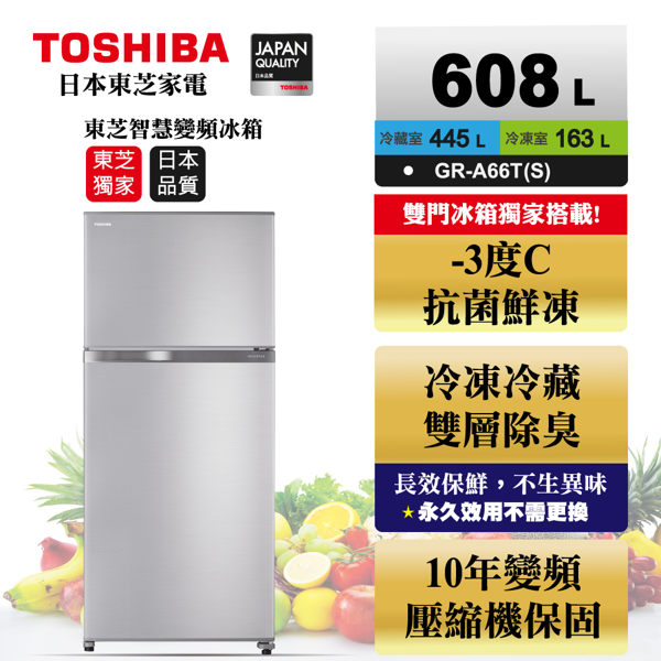 限時優惠 TOSHIBA東芝 608公升雙門冰箱 雅爵銀 GR-A66T