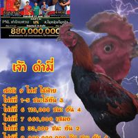 ชยพล ฟาร์ม