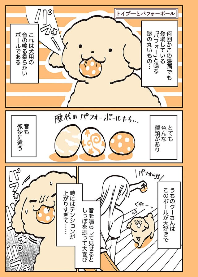 お気に入りのボールが壊れて 母が新しいものを買ってきたが うちのトイプーがアイドルすぎる