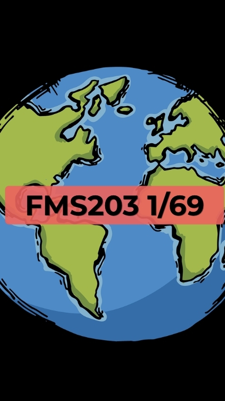 FMS203 1/69
