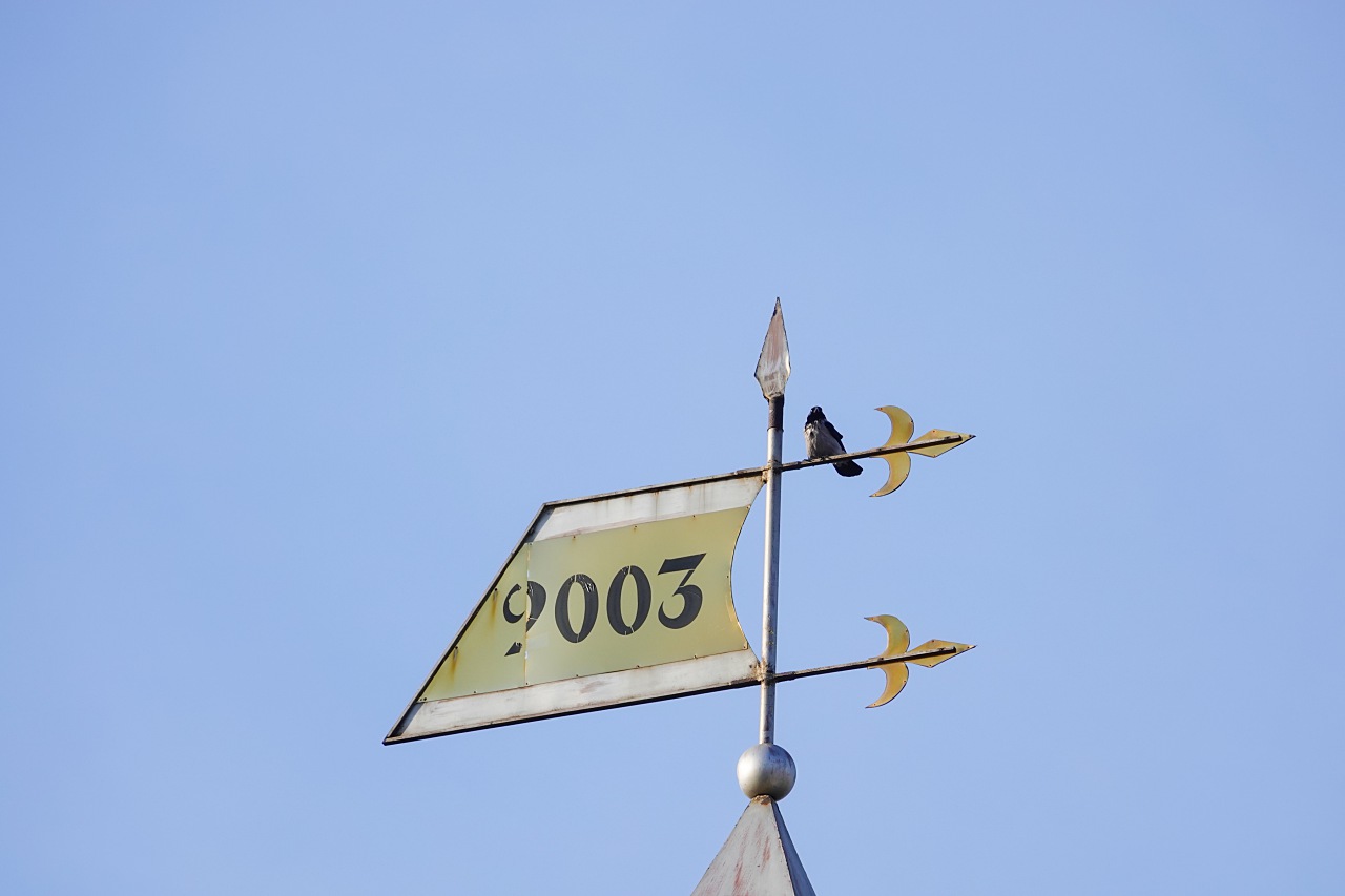 旅遊攝影師貝琪梨的極地遠征！Sony RX10 IV 極光 / 飛羽實戰拍攝分享