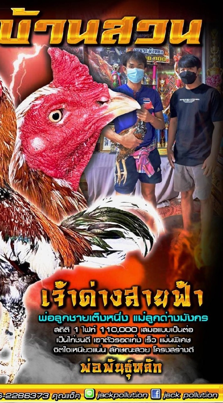 ซุ้มบ้านสวน