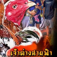 ซุ้มบ้านสวน