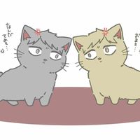 ハイキュー！！なりきり。