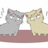 ハイキュー！！なりきり。