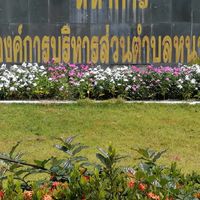 หนามแท่งแจ้งข่าว