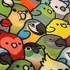 スーパーインコ戦隊ファンナンジャー🦜