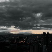 鮪魚罐頭