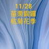 11/28 苗栗銅鑼杭菊遊