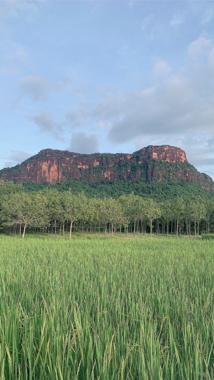 หาเพื่อนคุยเล่นทุกเรื่องのオープンチャット