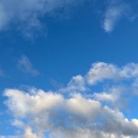 学生限定！恋バナ、雑談しよ！