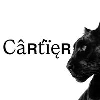 Câʀťïęʀ