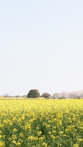 宮崎県西都市を愛する会 OpenChat