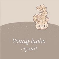 小蘿蔔礦石水晶✨