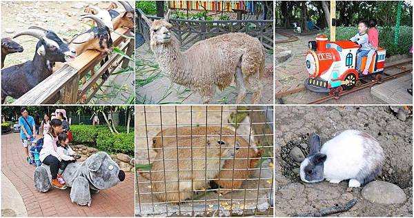 【桃園景點】羊世界牧場-有如一座小型動物園,還可以餵羊的好玩親子景點 【桃園景點】羊世界牧場-有如一座小型動物園,還可以餵羊的好玩親子景點