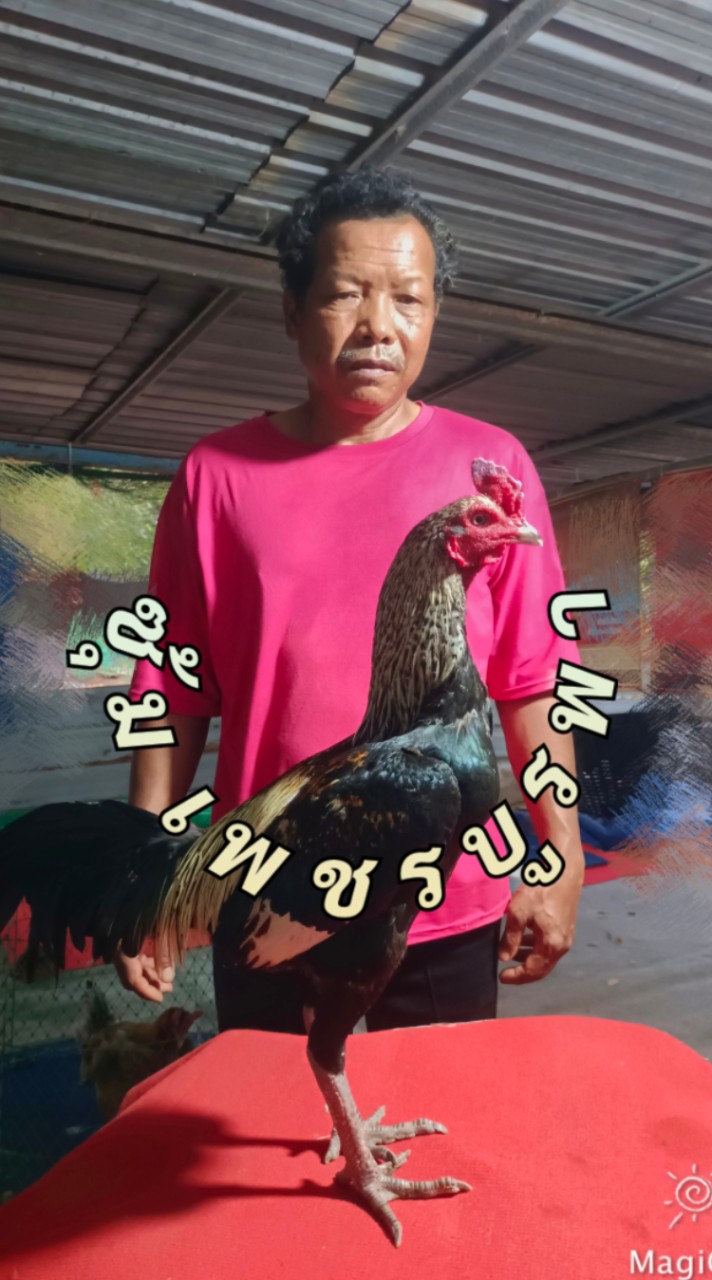 T. K.G. farm (ทีเคจี ฟาร์ม โคราช)
