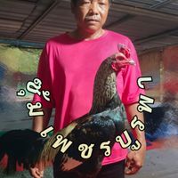 T. K.G. farm (ทีเคจี ฟาร์ม โคราช)