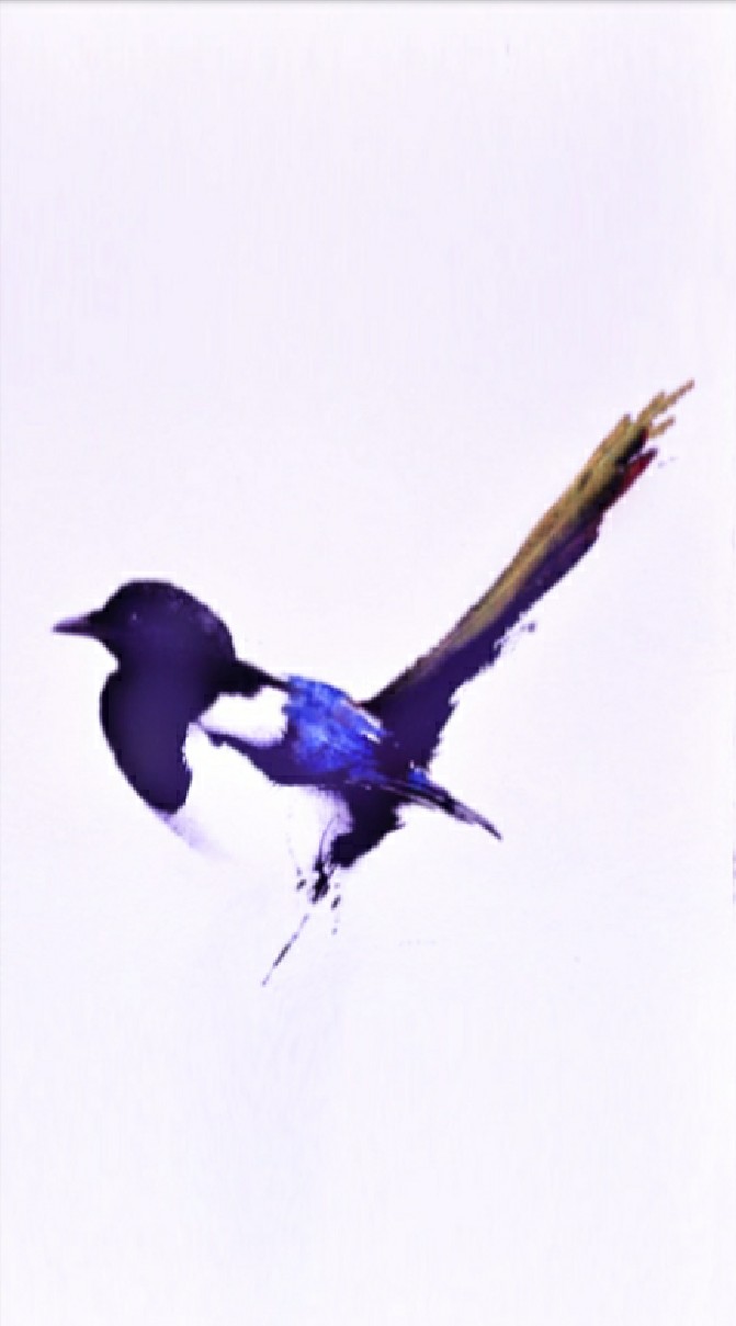 !🦜許願鳥