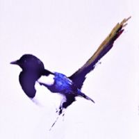 !🦜許願鳥