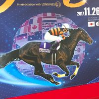 集まれ庶民競馬の民