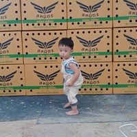 รชานนท์ช่อง2