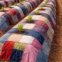 Clothes to Farm|服を土に還す