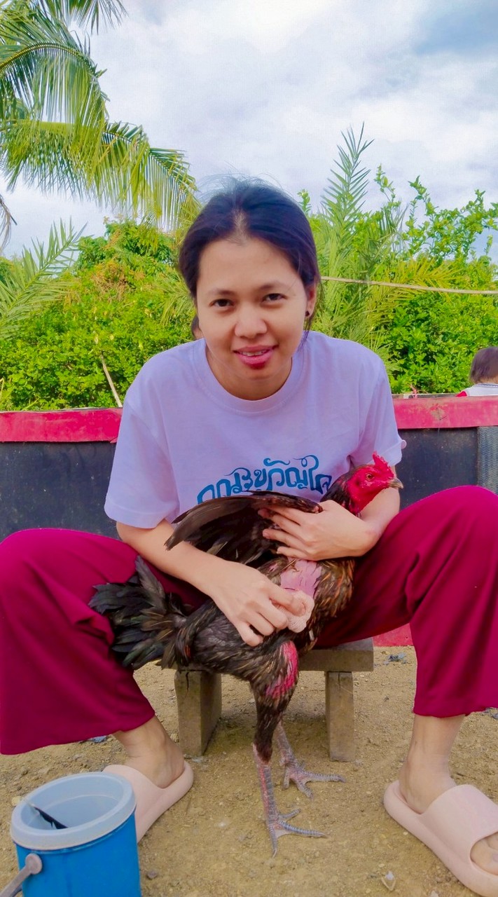 ซุ้มไก่ชน จิราพาฟาร์มสระแก้ว