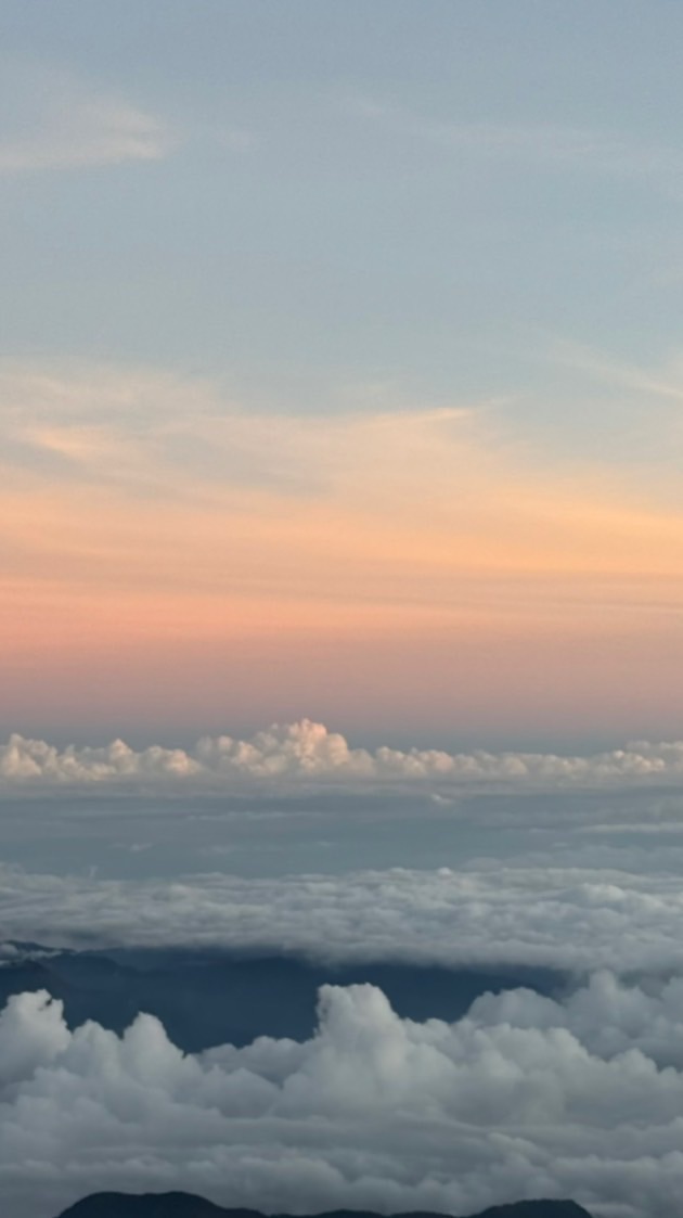 Owala美國代購🍄