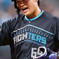 日ハム応援団