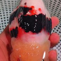 ARTGOLDFISH