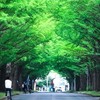 【北大2027春】新入生・受験生の秘密基地（春から北大）
