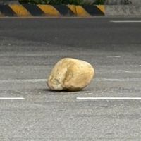 少女心的多元宇宙