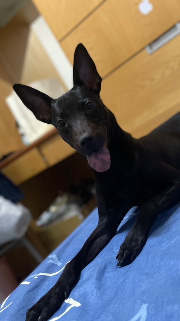 南部club🐕