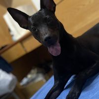 南部club🐕