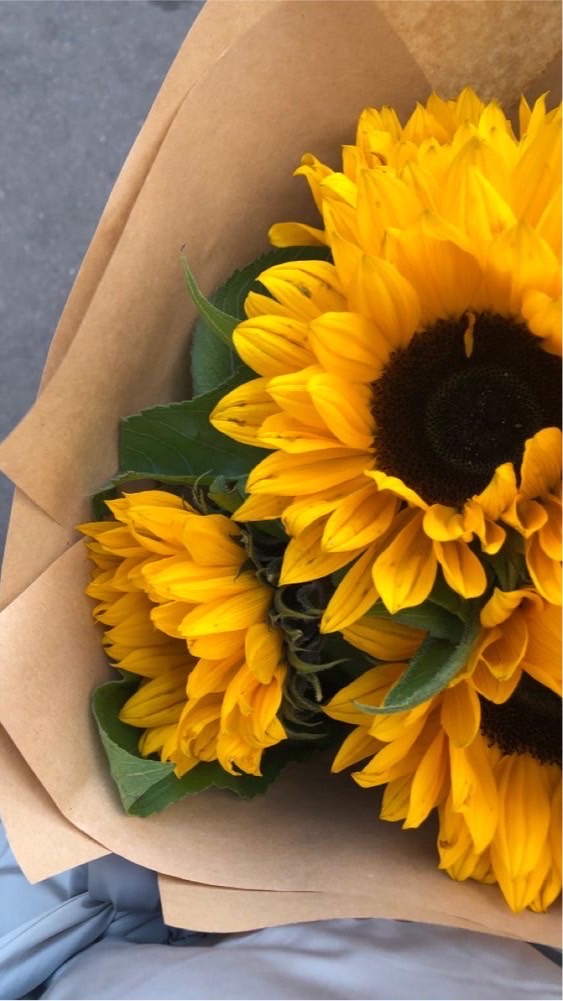 ทานตะวันตึงๆครับ🌻💛