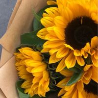 ทานตะวันตึงๆครับ🌻💛