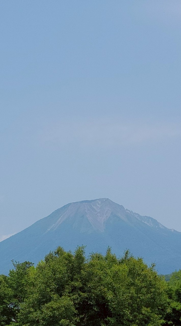靚霖園藝