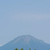 靚霖園藝